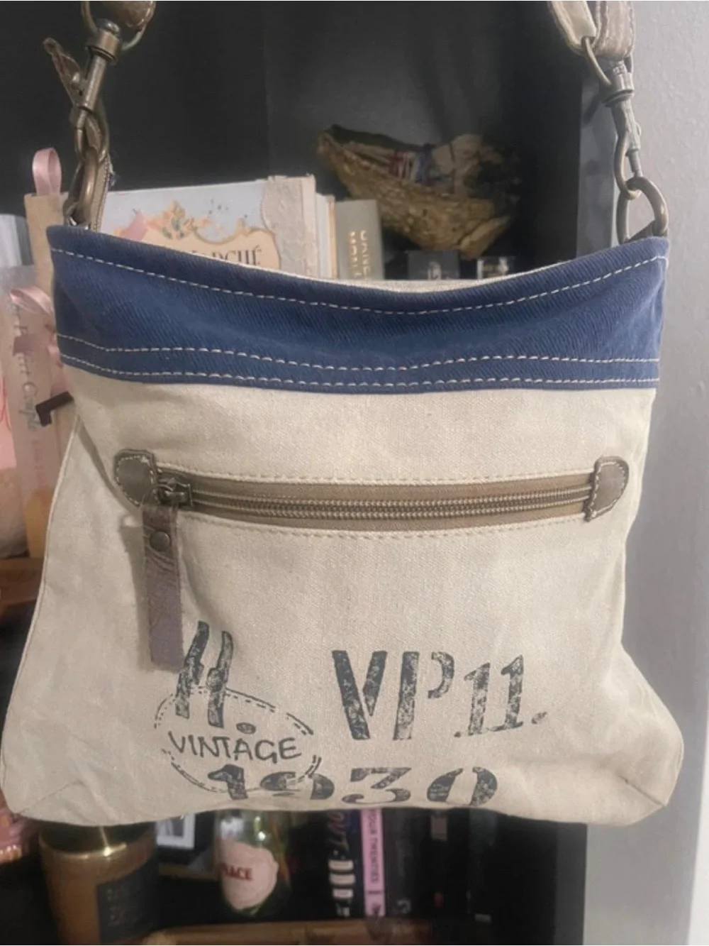 Clea Ray Canvas Crossbody Bag with Bicycle Print - Blue & Cream